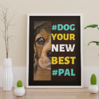 #Dog, your New Best #Pal ...Beagle