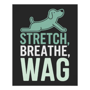 Doga Dog Yoga Pet Wellness Mindful Stretching      Poster