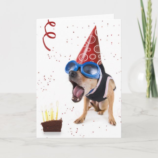 dogcake card (Front)