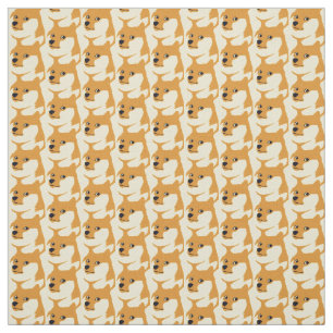 Doge Coin Crypto Fabric