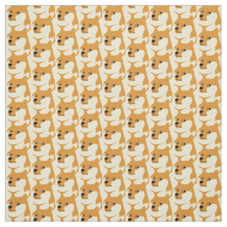 Doge Coin Crypto Fabric