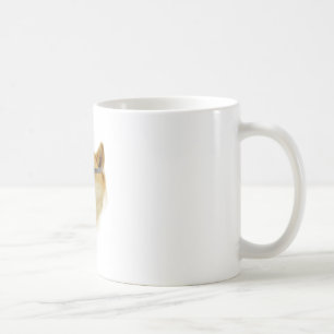 Doge dans la tasse de nuances