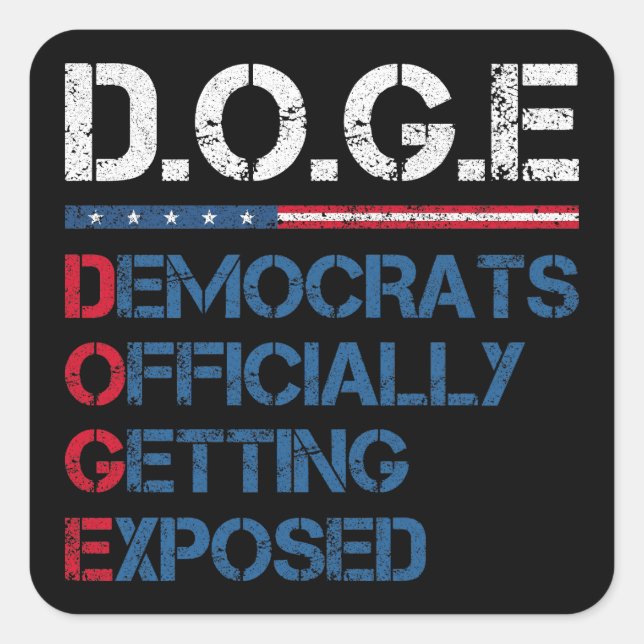 DOGE Department Of Government Efficiency Square Sticker (Front)