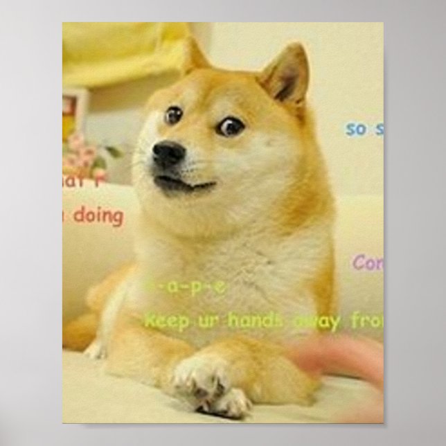 Doge Meme Poster (Front)