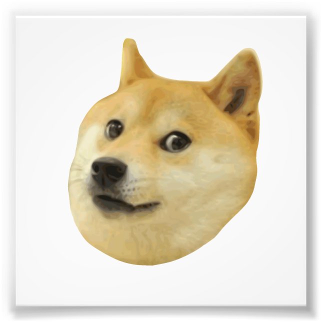 Doge Very Wow Much Dog Such Shiba Shibe Inu Photo Print (Front)