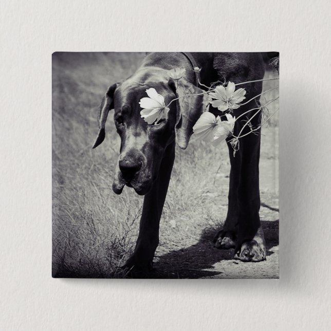 Dogge Balu 2 Inch Square Button (Front)