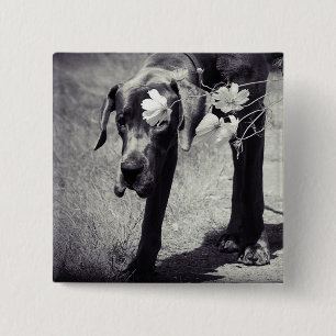 Dogge Balu 2 Inch Square Button