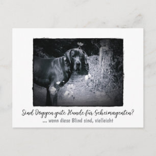 Dogge: der Hund für Geheimagenten Postcard