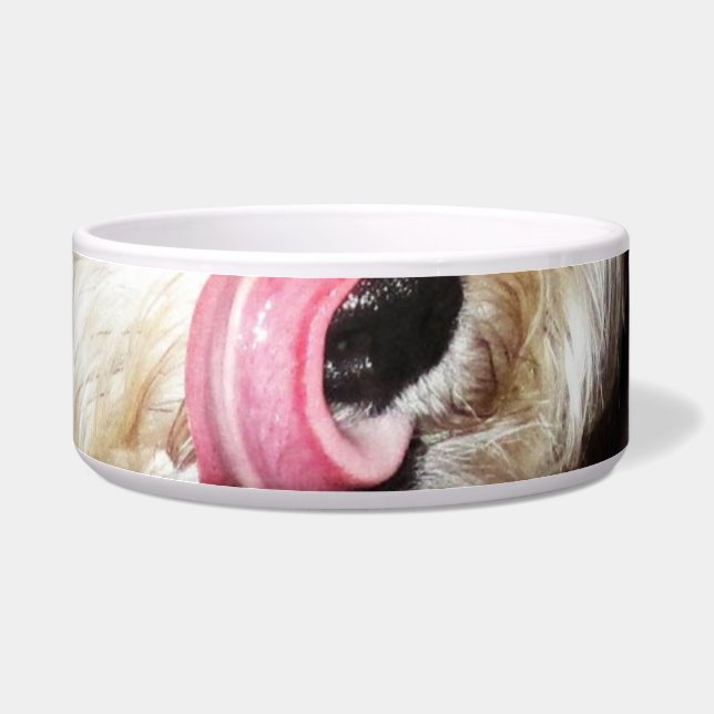 Doggie bowl- Max's tongue! (Right)