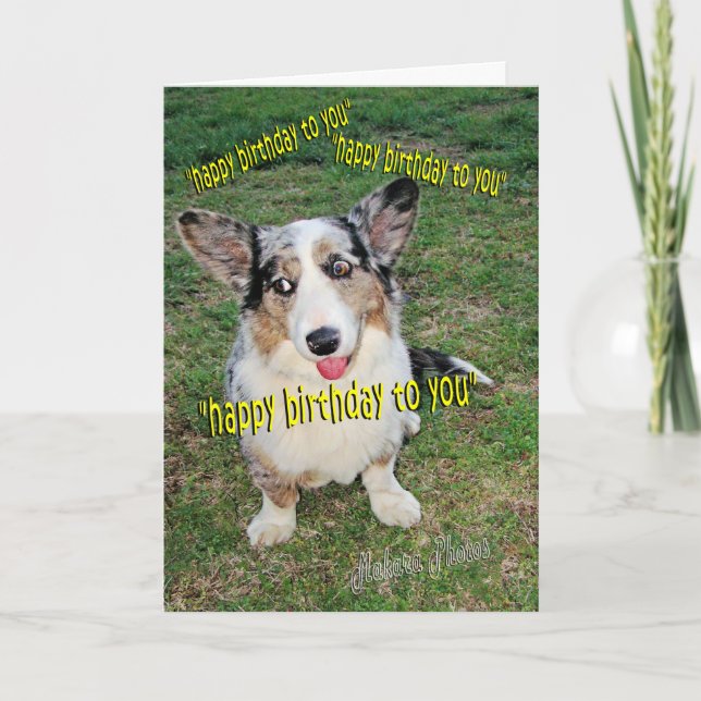 Doggie Cake Dreams Card (Front)