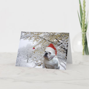 Doggie Christmas greeting card