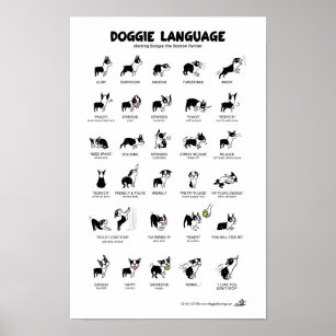 DOGGIE LANGUAGE Large Poster