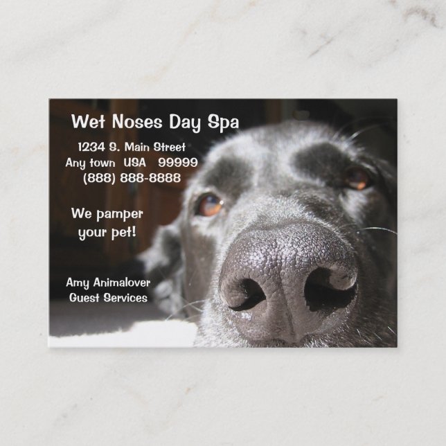 Doggie Spa Business And Appointment Card (Front)