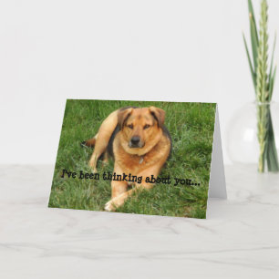 Doggie Thinking About You Greeting Card