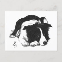 Doggust 2019 Border Collie Postcard