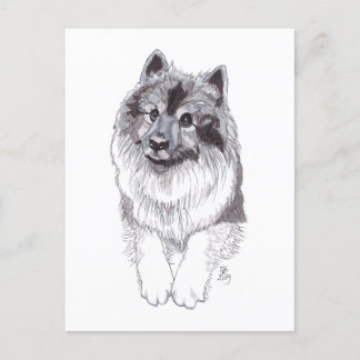 Doggust 2019 Keeshond Postcard