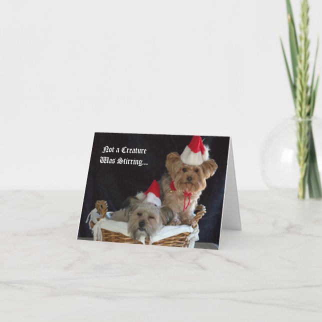 Doggy Christmas Holiday Card (Front)