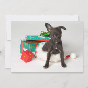 Doggy Christmas present Holiday Card