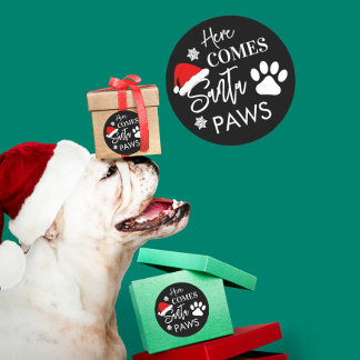 Doggy Christmas Present, pooch, Custom Dog Biscuit Classic Round Sticker