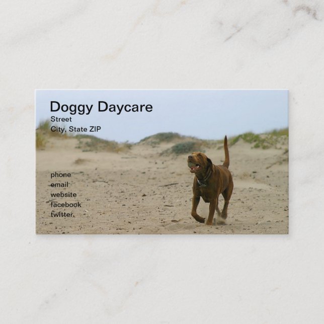 Doggy Daycare Business Card (Front)