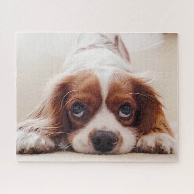 Doggy Jigsaw Puzzle (Horizontal)