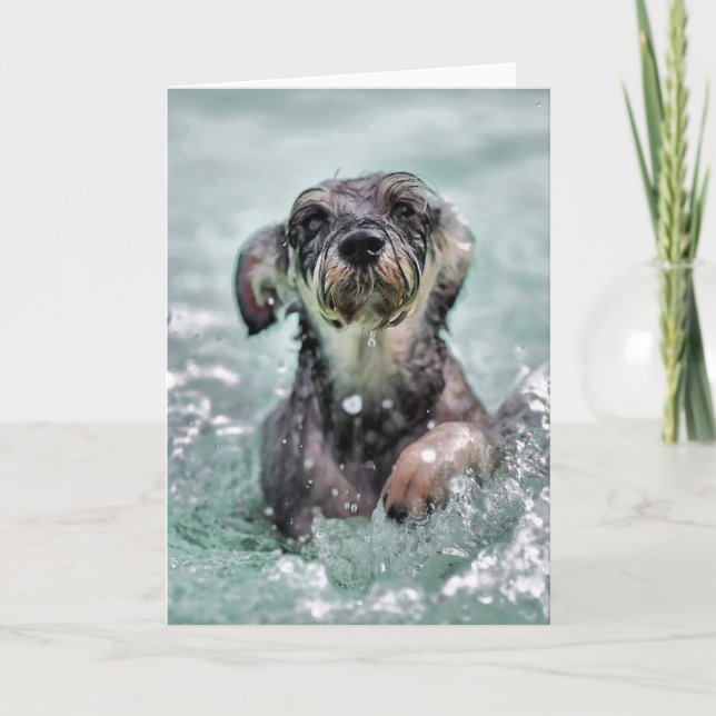 Doggy Paddle Cute Dog Swimming Card (Front)