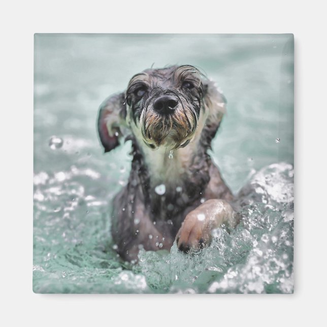 Doggy Paddle Cute Dog Swimming Magnet (Front)