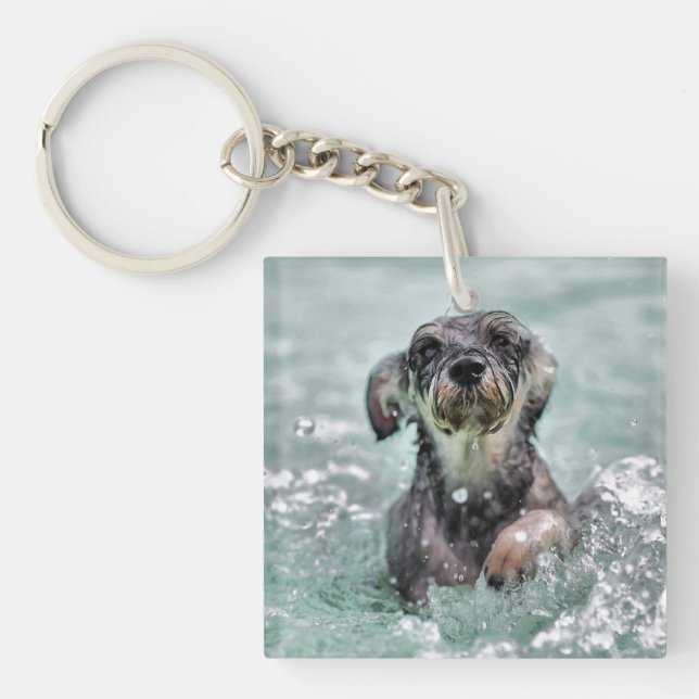 Doggy Paddle mignon chien nager (Devant)