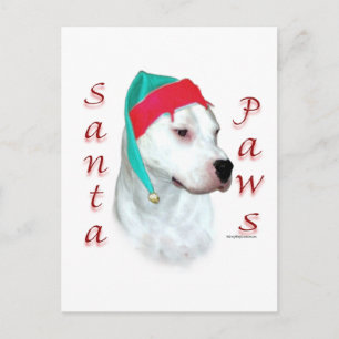 Dogo Argentino Santa Paws Holiday Postcard