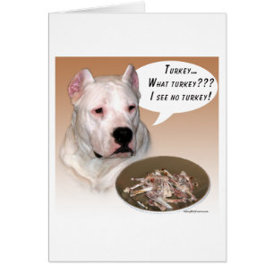 Dogo Argentino Turquie