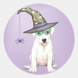 Dogo Argentino Witch Classic Round Sticker