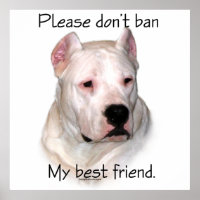 Dogo BSL - Please don't ban my best friend poster