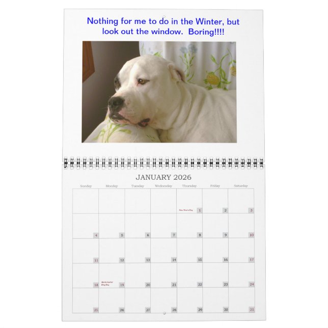 Dogo Calendar (Jan 2026)