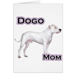 Dogo Maman 4