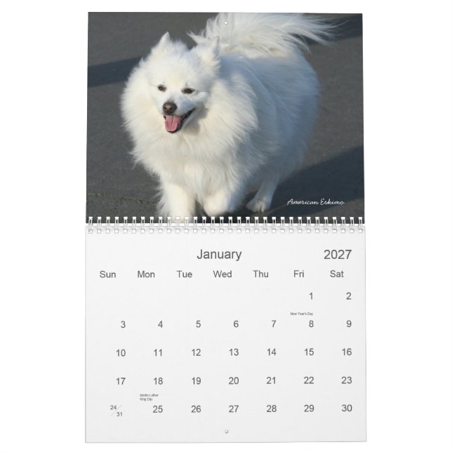 Dogs 2011 Calendar (Jan 2027)