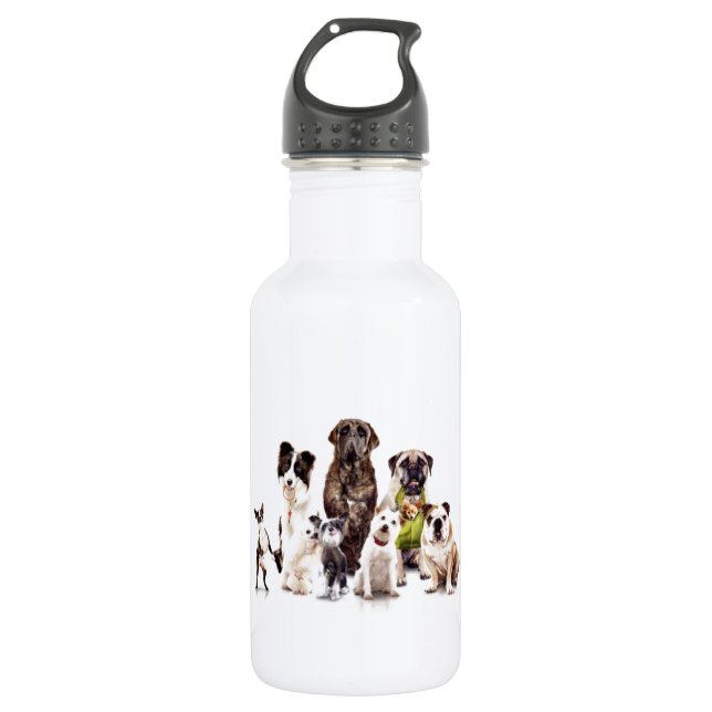 Dogs 532 Ml Water Bottle (Front)