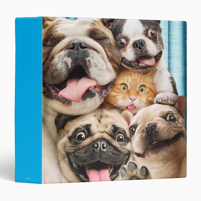 Dogs and a Cat Group Photo Binder (Front/Spine)