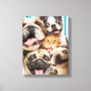 Dogs and a Cat Group Photo Canvas Print
