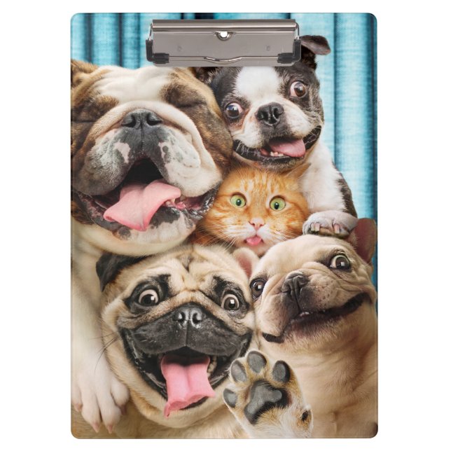 Dogs and a Cat Group Photo Clipboard (Front)