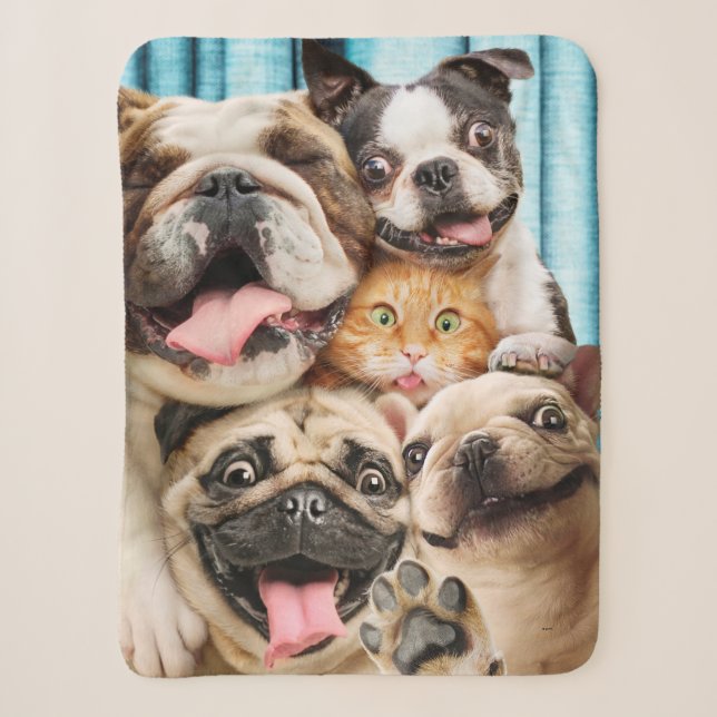 Dogs and a Cat Group Photo Sherpa Blanket (Front)