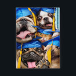 Dogs and Cat Grads in Photo Booth<br><div class="desc">Crushin' it! | Avanti,  the Global Humour Brand™ has been entertaining the world with its Feel Good Funny greeting cards for over 40 years. Our characters live life to the fullest and celebrate the humour in everyday life.</div>