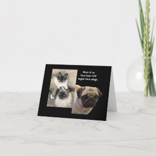 Dogs and Cats Animal Angels Folded Greeting Card