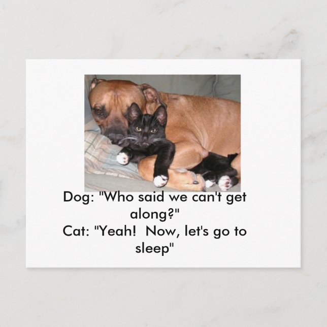 Dogs-and-Cats Postcard (Front)
