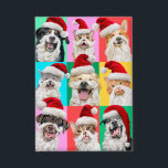 Dogs and Cats with Santa Beard<br><div class="desc">Merry Cuteness! | Avanti,  the Global Humour Brand™ has been entertaining the world with its Feel Good Funny greeting cards for over 40 years. Our characters live life to the fullest and celebrate the humour in everyday life.</div>