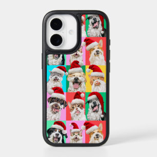 Dogs and Cats with Santa Beard