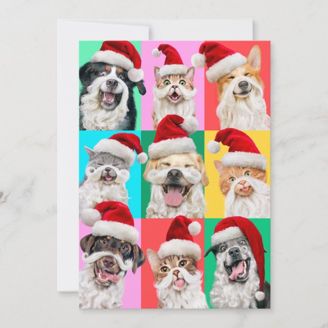 Dogs and Cats with Santa Beard Invitation (Front)