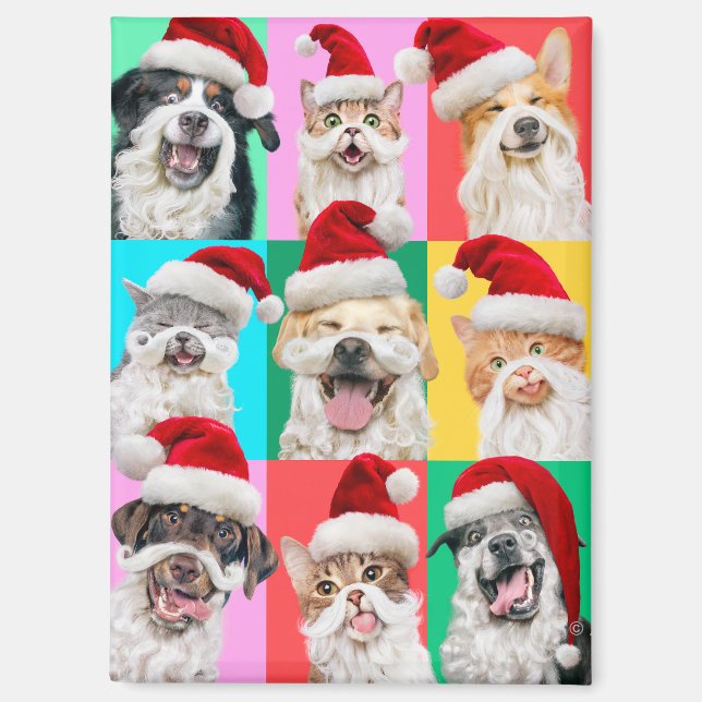 Dogs and Cats with Santa Beard Magnet (Front)