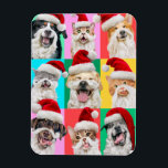 Dogs and Cats with Santa Beard Magnet<br><div class="desc">Merry Cuteness! | Avanti, the Global Humour Brand™ has been entertaining the world with its Feel Good Funny greeting cards for over 40 years. Our characters live life to the fullest and celebrate the humour in everyday life.</div>