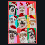 Dogs and Cats with Santa Beard Medium Gift Bag<br><div class="desc">Merry Cuteness! | Avanti,  the Global Humour Brand™ has been entertaining the world with its Feel Good Funny greeting cards for over 40 years. Our characters live life to the fullest and celebrate the humour in everyday life.</div>