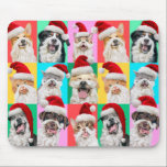 Dogs and Cats with Santa Beard Mouse Pad<br><div class="desc">Merry Cuteness! | Avanti,  the Global Humour Brand™ has been entertaining the world with its Feel Good Funny greeting cards for over 40 years. Our characters live life to the fullest and celebrate the humour in everyday life.</div>